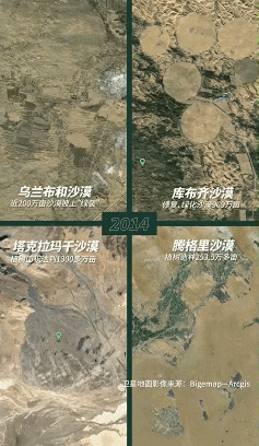 中国植树成就与毛乌素沙漠绿化进程揭秘