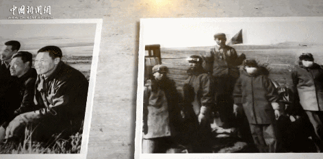 中国植树成就与毛乌素沙漠绿化进程揭秘