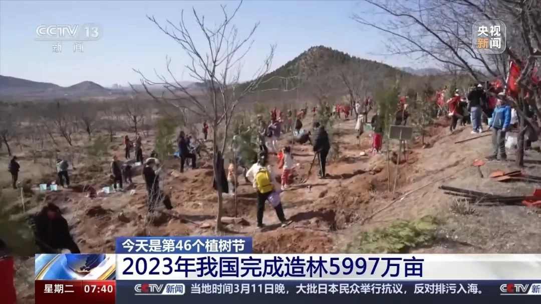 中国国土绿化成就与植树造林数据公布