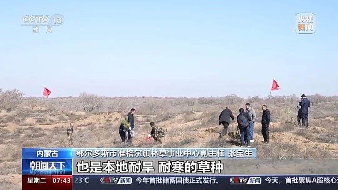 中国国土绿化成就与植树造林数据公布