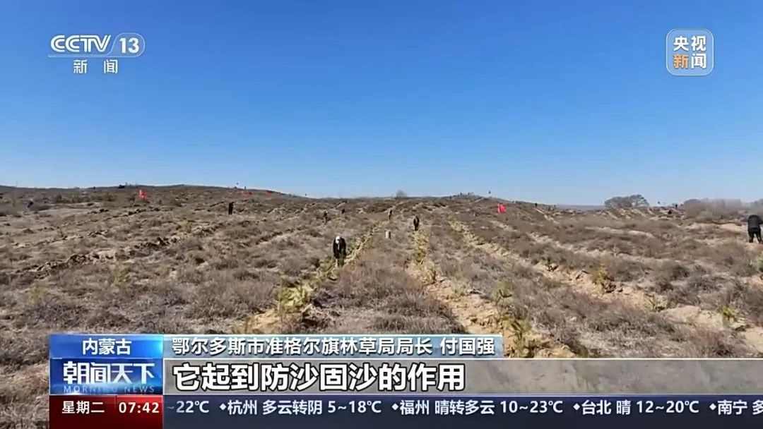 中国国土绿化成就与植树造林数据公布