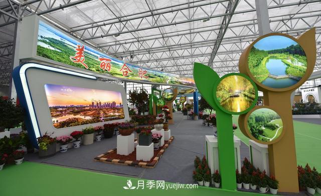 合肥苗交会签约77亿元,合作成果丰硕(图1) 合肥苗交会签约77亿元,合作成果丰硕(图1)