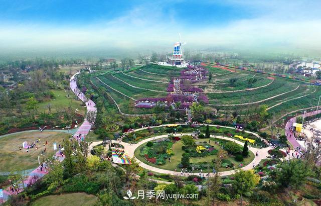 合肥苗交会签约77亿元,合作成果丰硕(图3) 合肥苗交会签约77亿元,合作成果丰硕(图3)