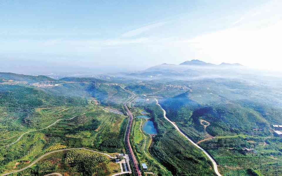 废弃煤窑变身生态公园 九龙山绿色发展见证生态修复奇迹