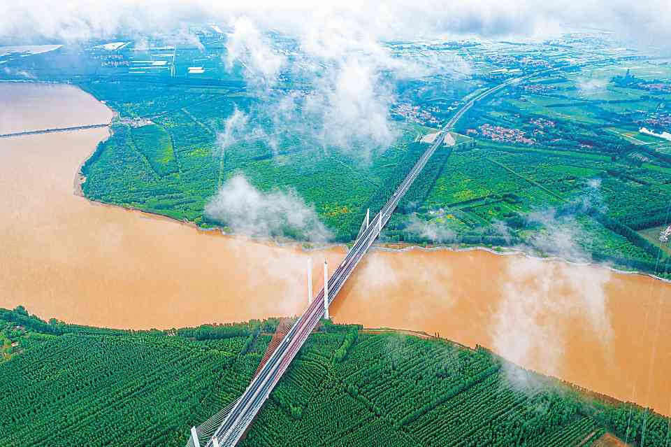 滨州黄河淤背区绿化升级 打造生态廊道新典范