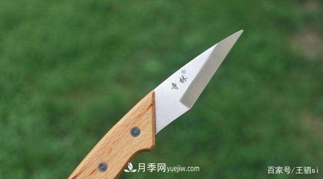 花卉栽培的六大基本工具,你准备好了吗?(图6) 花卉栽培的六大基本工具,你准备好了吗?(图6)