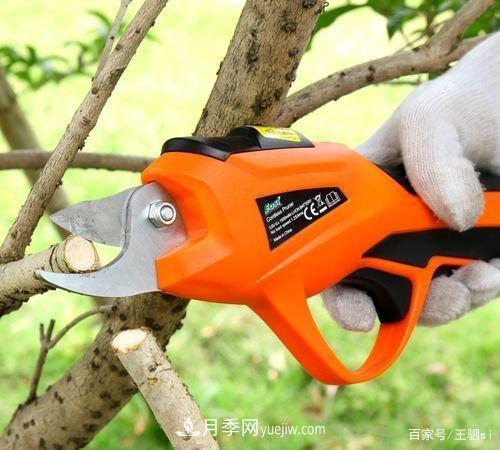 花卉栽培的六大基本工具,你准备好了吗?(图4) 花卉栽培的六大基本工具,你准备好了吗?(图4)