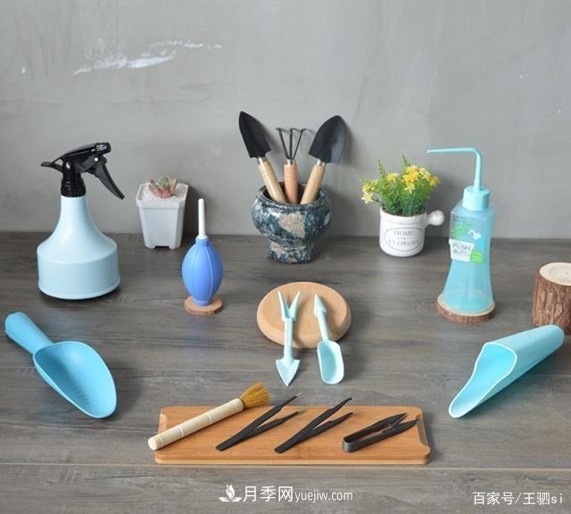 花卉栽培的六大基本工具,你准备好了吗?(图1) 花卉栽培的六大基本工具,你准备好了吗?(图1)