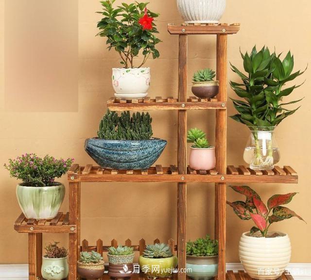 花卉栽培的六大基本工具,你准备好了吗?(图7) 花卉栽培的六大基本工具,你准备好了吗?(图7)