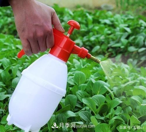 花卉栽培的六大基本工具,你准备好了吗?(图3) 花卉栽培的六大基本工具,你准备好了吗?(图3)