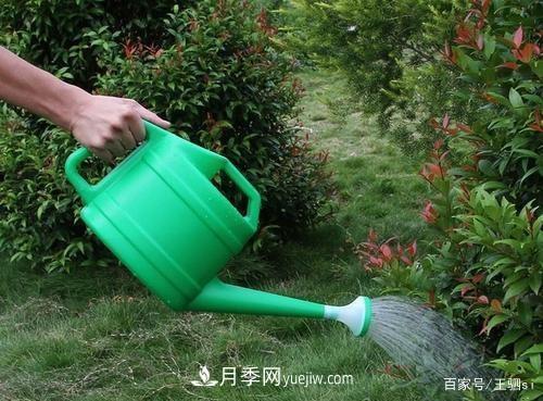 花卉栽培的六大基本工具,你准备好了吗?(图2) 花卉栽培的六大基本工具,你准备好了吗?(图2)