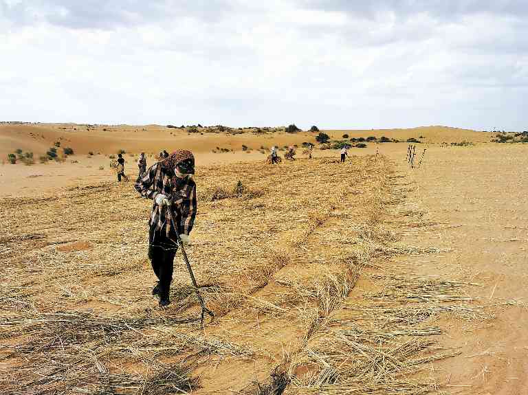 内蒙古巴彦淖尔打响黄河几字弯攻坚战 构筑北疆绿色屏障