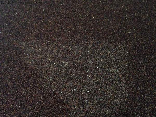 夜来香种子图片