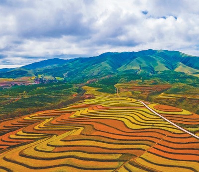 宁夏生态治理成效显著 森林覆盖率提升至16.9%