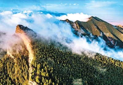 宁夏生态治理成效显著 森林覆盖率提升至16.9%