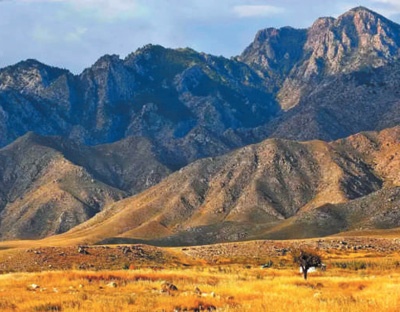 宁夏生态治理成效显著 森林覆盖率提升至16.9%