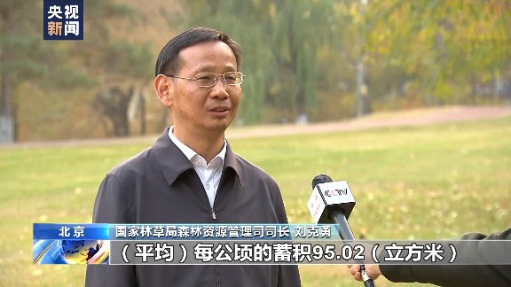 中国森林经营战略转型：从面积扩张到质量提升的关键路径