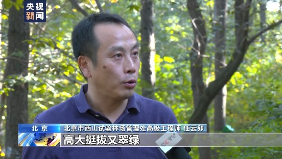 中国森林经营战略转型：从面积扩张到质量提升的关键路径