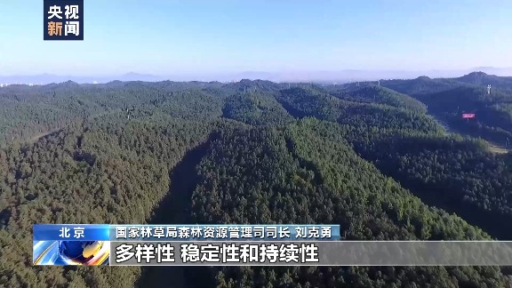 中国森林经营战略转型：从面积扩张到质量提升的关键路径