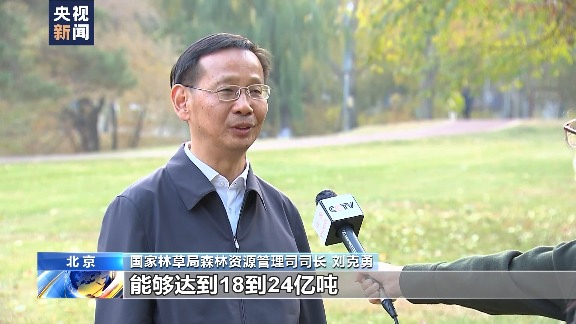 中国森林经营战略转型：从面积扩张到质量提升的关键路径