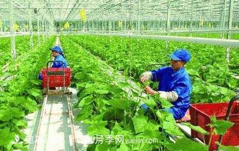 南阳有机农业全国第一是怎样炼成的?南水北调水源地生态农业见闻(图1) 南阳有机农业全国第一是怎样炼成的?南水北调水源地生态农业见闻(图1)