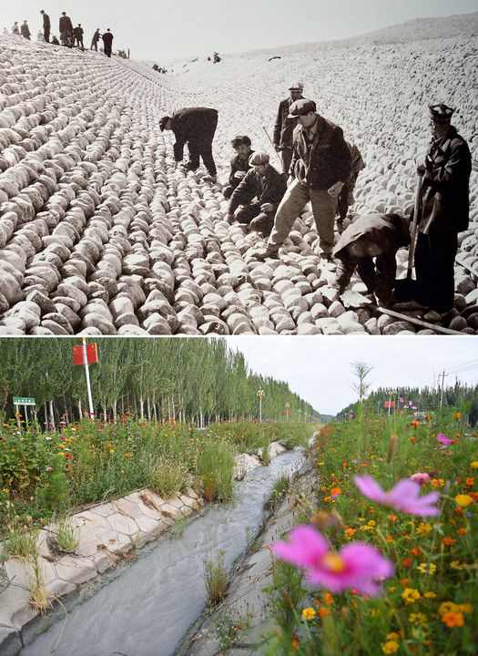 柯柯牙荒漠变绿洲：40年植树造林书写生态奇迹