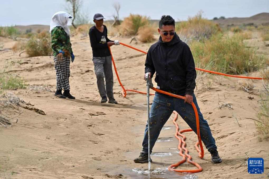 库布其沙漠治沙新力量：年轻一代用科技与汗水守护绿色梦想