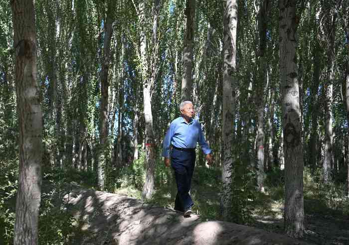 柯柯牙荒漠变绿洲：40年植树造林书写生态奇迹