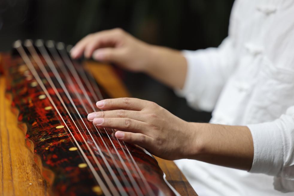 焦裕禄种下的泡桐树如何变成兰考致富产业