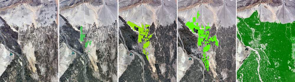 柯柯牙荒漠变绿洲：40年植树造林书写生态奇迹