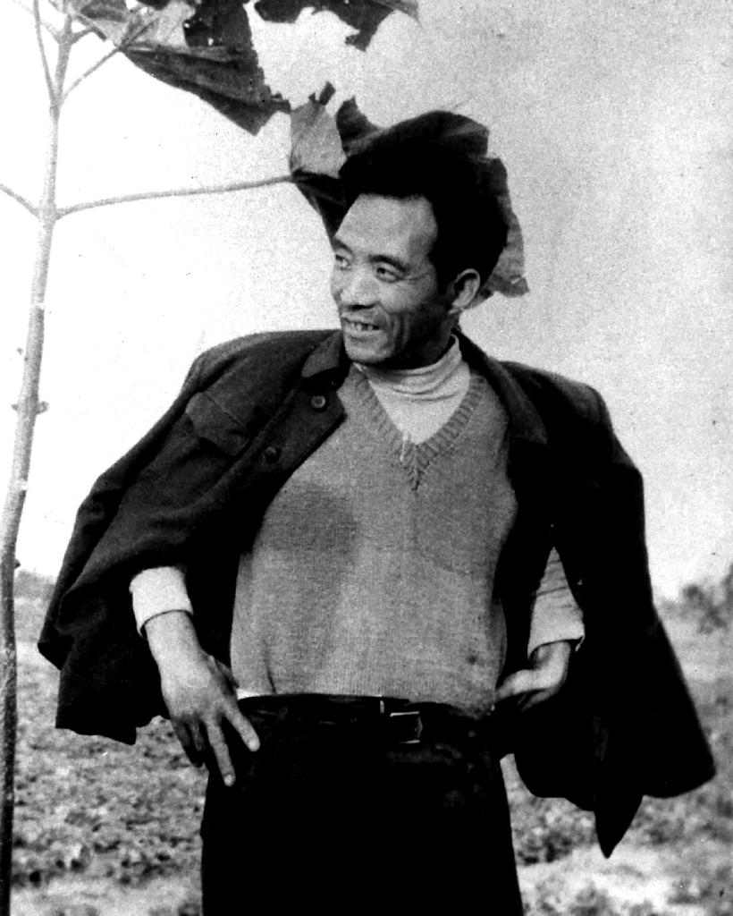 焦裕禄种下的泡桐树如何变成兰考致富产业