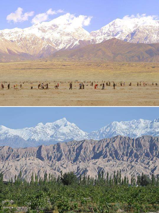 柯柯牙荒漠变绿洲：40年植树造林书写生态奇迹