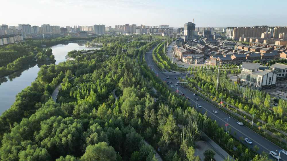 柯柯牙荒漠变绿洲：40年植树造林书写生态奇迹