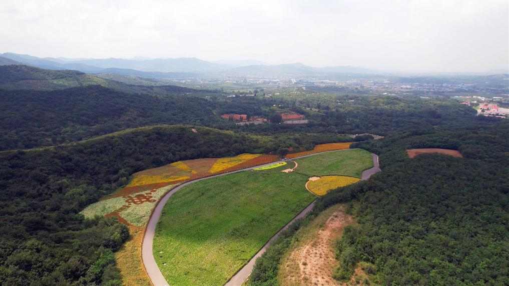 大地之变｜从“千疮百孔”到景色宜人