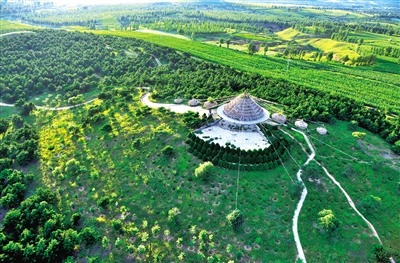 科尔沁沙地歼灭战持续推进 年均治沙200万亩显成效