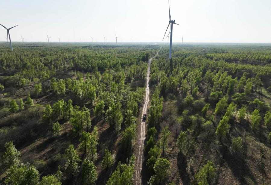 光伏治沙新模式助力生态修复 荒漠变绿色能源基地