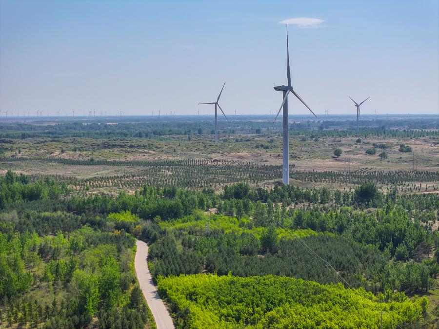 光伏治沙新模式助力生态修复 荒漠变绿色能源基地