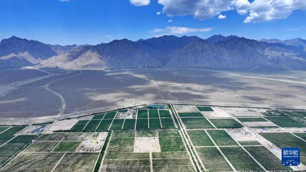 宁夏贺兰山东麓：从荒滩戈壁到葡萄酒黄金产区的华丽蜕变