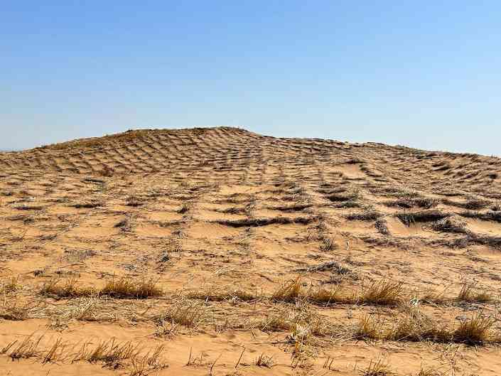 宁夏中卫治沙新突破：机械化固沙技术引领绿色发展