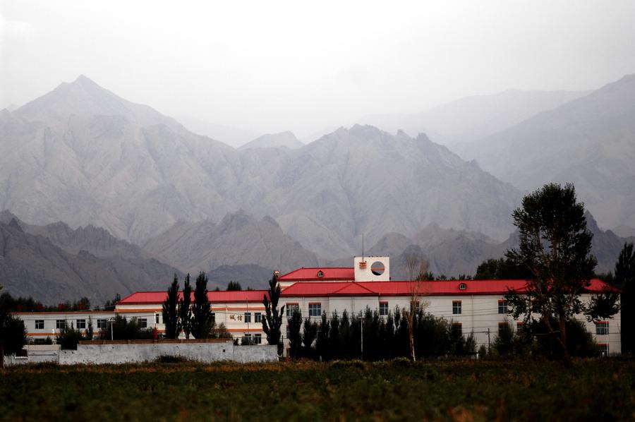 格尔木治沙奇迹：荒漠变绿洲的生态治理之路