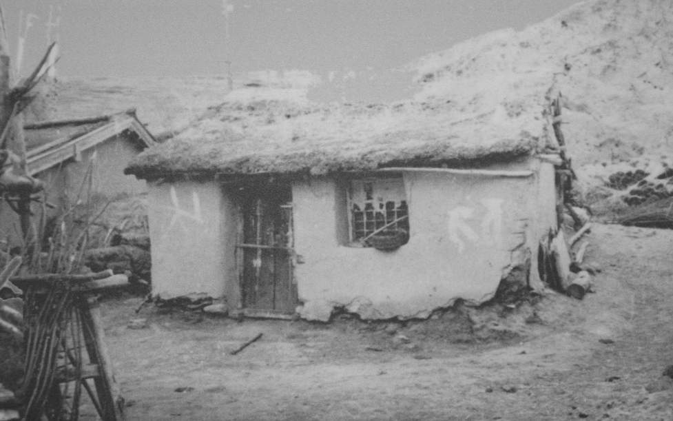 塞罕坝荒漠变绿洲奇迹：三代人艰苦奋斗建成百万亩人工林海