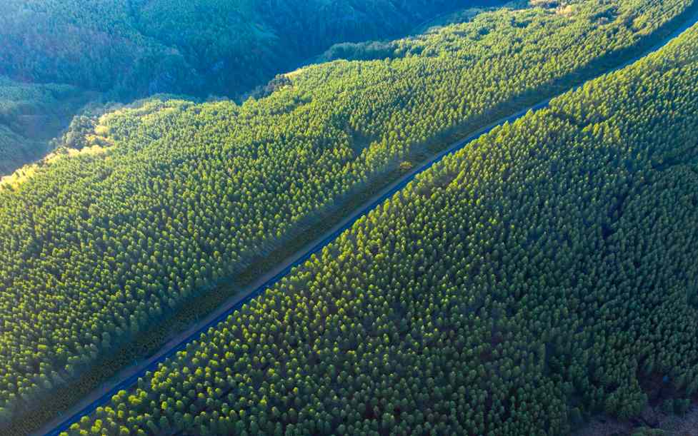 塞罕坝荒漠变绿洲奇迹：三代人艰苦奋斗建成百万亩人工林海