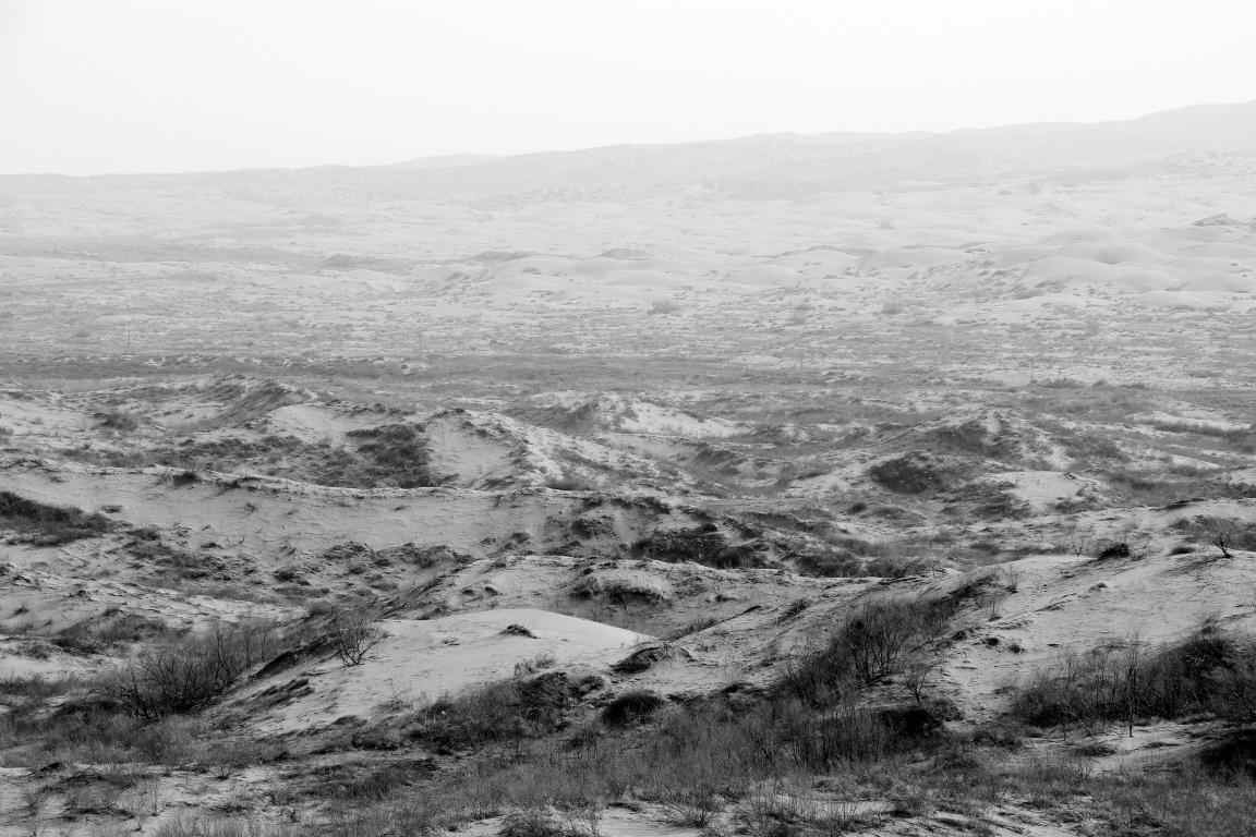 塞罕坝荒漠变绿洲奇迹：三代人艰苦奋斗建成百万亩人工林海