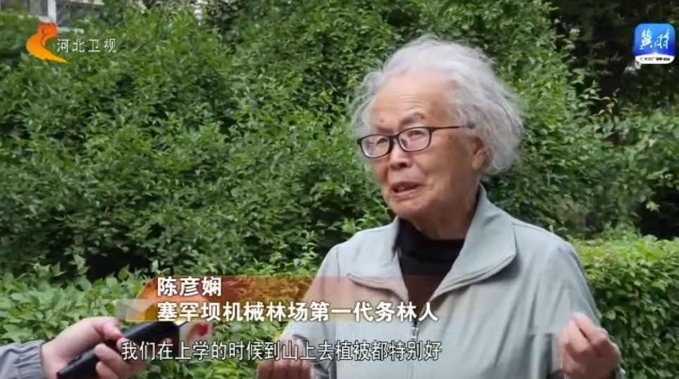 塞罕坝62年治沙造林奇迹从荒漠变绿洲