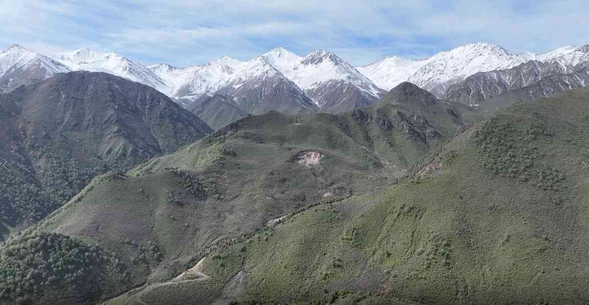 祁连山三面环沙中筑牢生态屏障 沙漠边缘阻击战见成效