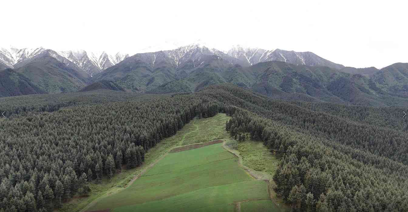 祁连山三面环沙中筑牢生态屏障 沙漠边缘阻击战见成效
