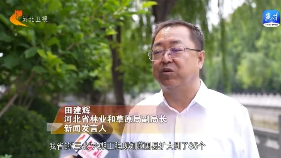 塞罕坝62年治沙造林奇迹从荒漠变绿洲