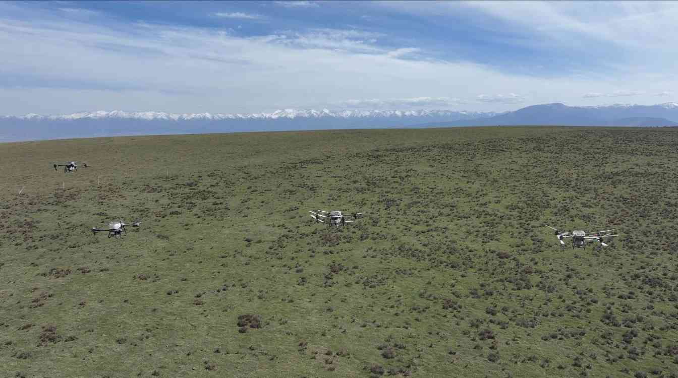 祁连山三面环沙中筑牢生态屏障 沙漠边缘阻击战见成效