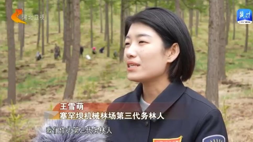 塞罕坝62年治沙造林奇迹从荒漠变绿洲