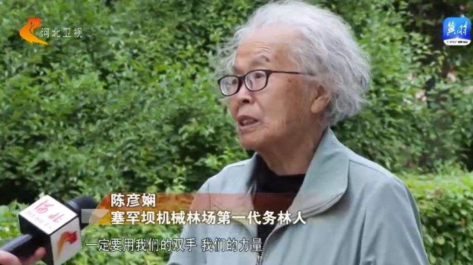 塞罕坝62年治沙造林奇迹从荒漠变绿洲